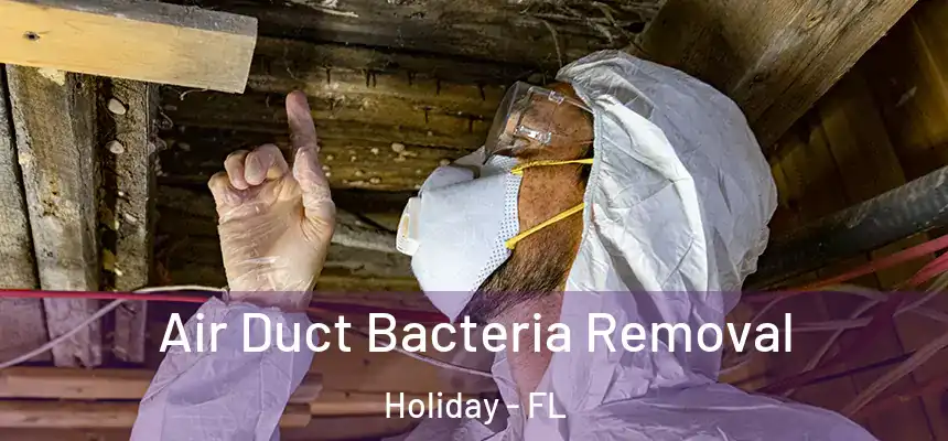 Air Duct Bacteria Removal Holiday - FL