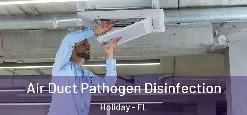 Air Duct Pathogen Disinfection Holiday - FL