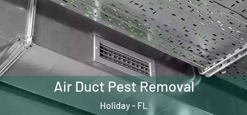  Air Duct Pest Removal Holiday - FL