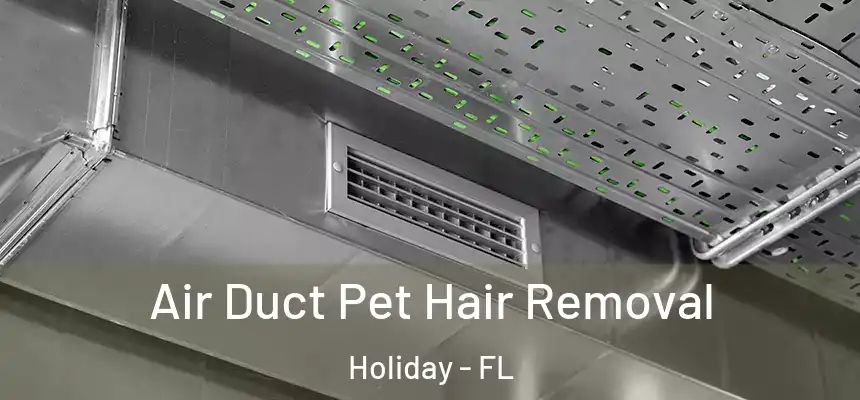 Air Duct Pet Hair Removal Holiday - FL