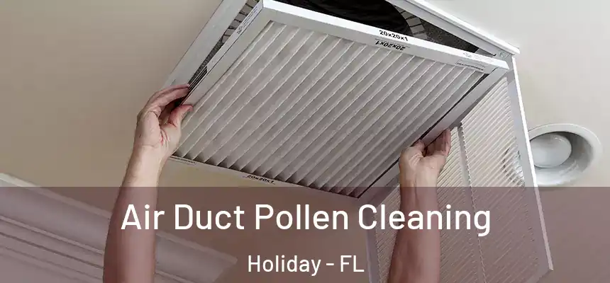  Air Duct Pollen Cleaning Holiday - FL