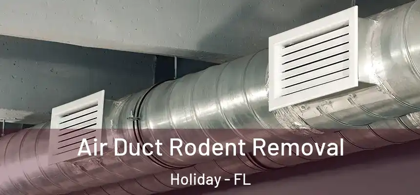 Air Duct Rodent Removal Holiday - FL