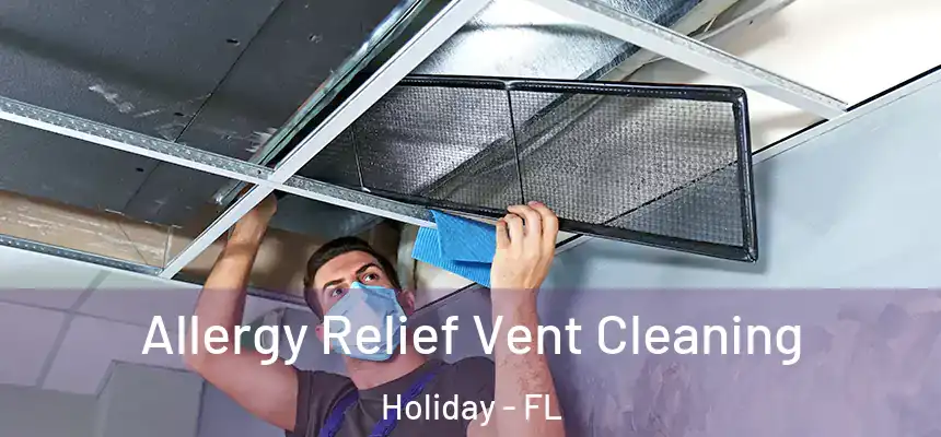 Allergy Relief Vent Cleaning Holiday - FL