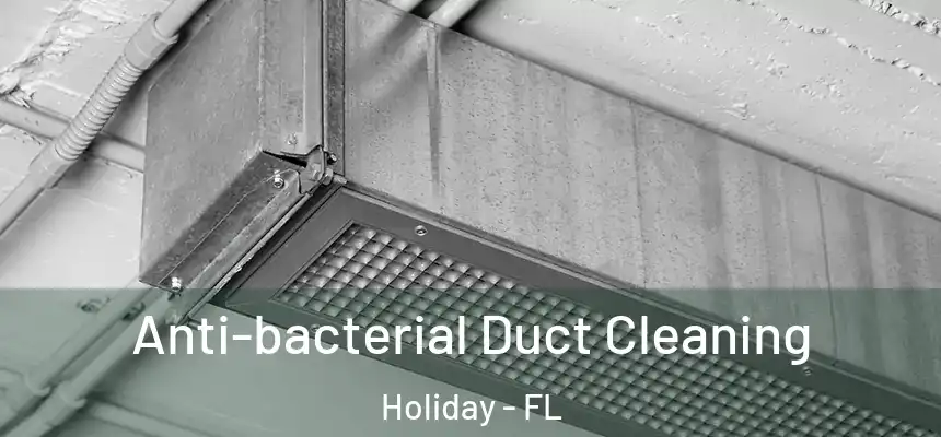 Anti-bacterial Duct Cleaning Holiday - FL