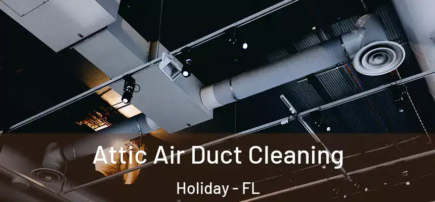 Attic Air Duct Cleaning Holiday - FL
