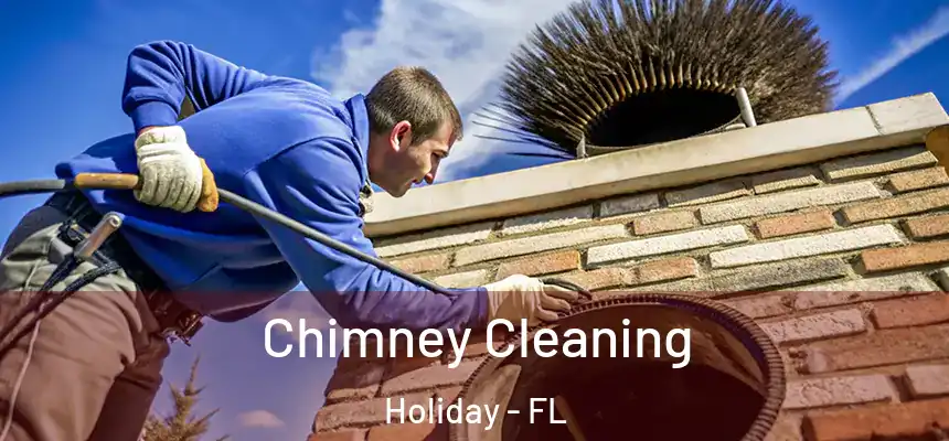  Chimney Cleaning Holiday - FL