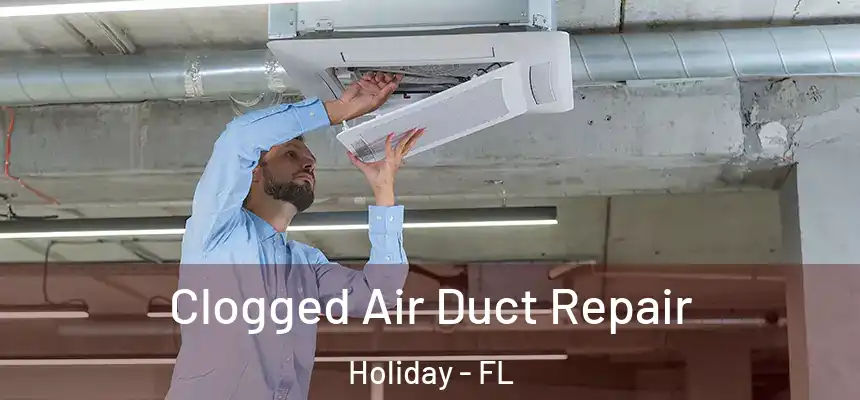 Clogged Air Duct Repair Holiday - FL