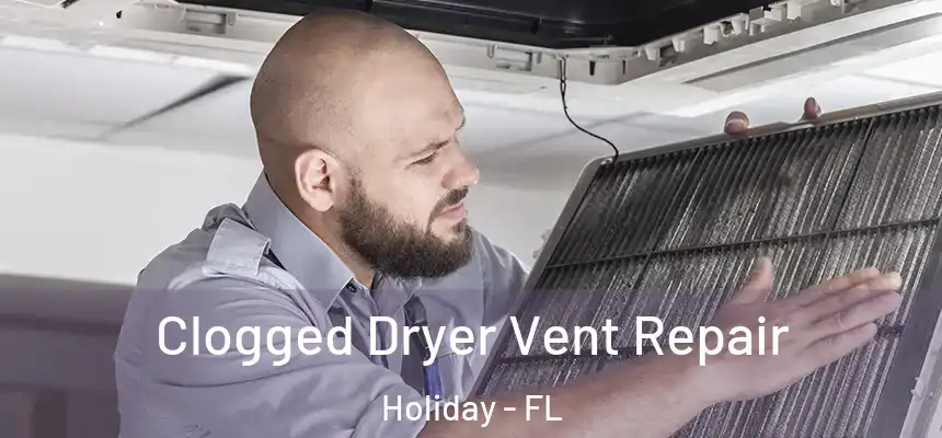 Clogged Dryer Vent Repair Holiday - FL