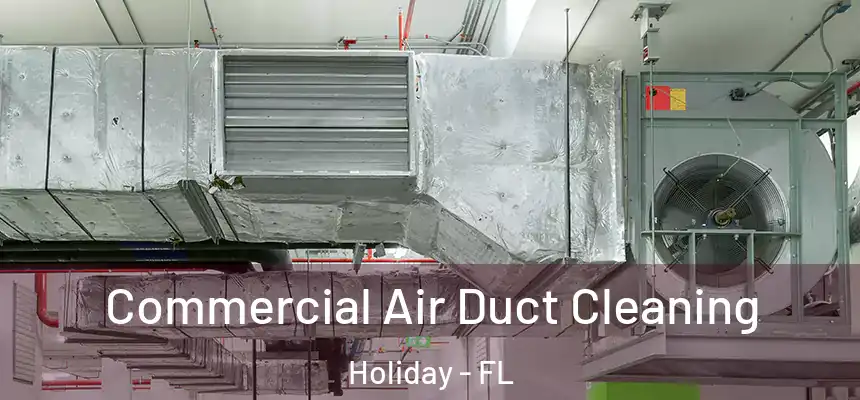 Commercial Air Duct Cleaning Holiday - FL
