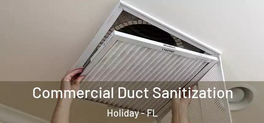 Commercial Duct Sanitization Holiday - FL