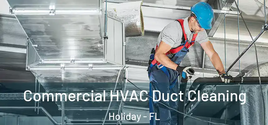 Commercial HVAC Duct Cleaning Holiday - FL