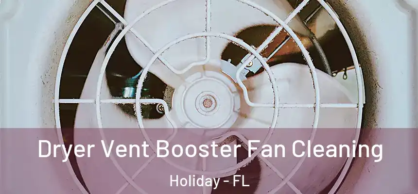 Dryer Vent Booster Fan Cleaning Holiday - FL