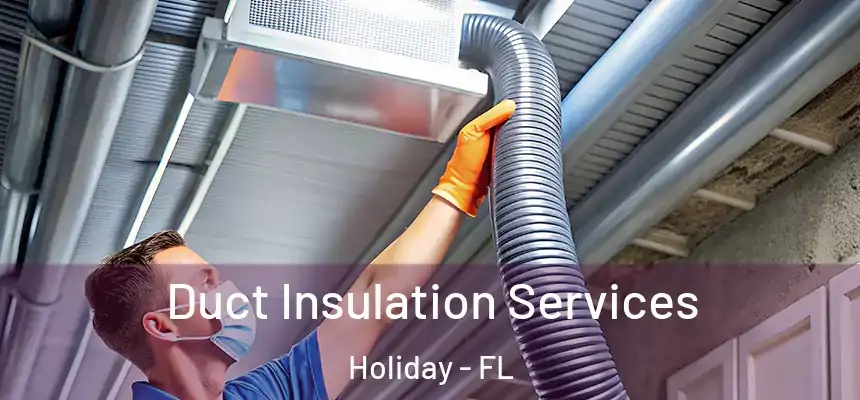 Duct Insulation Services Holiday - FL