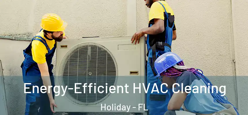 Energy-Efficient HVAC Cleaning Holiday - FL