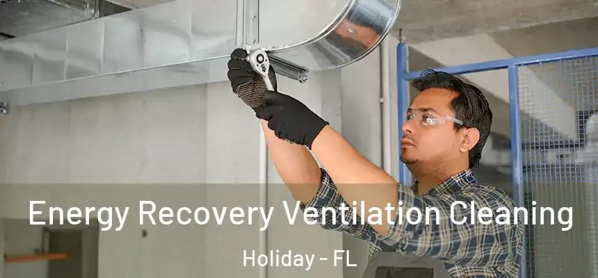 Energy Recovery Ventilation Cleaning Holiday - FL