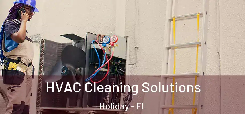 HVAC Cleaning Solutions Holiday - FL
