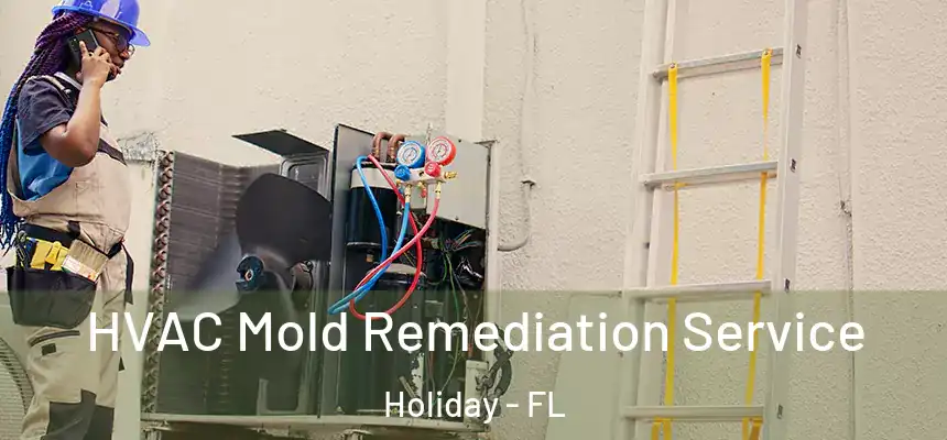 HVAC Mold Remediation Service Holiday - FL