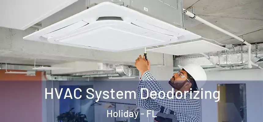 HVAC System Deodorizing Holiday - FL