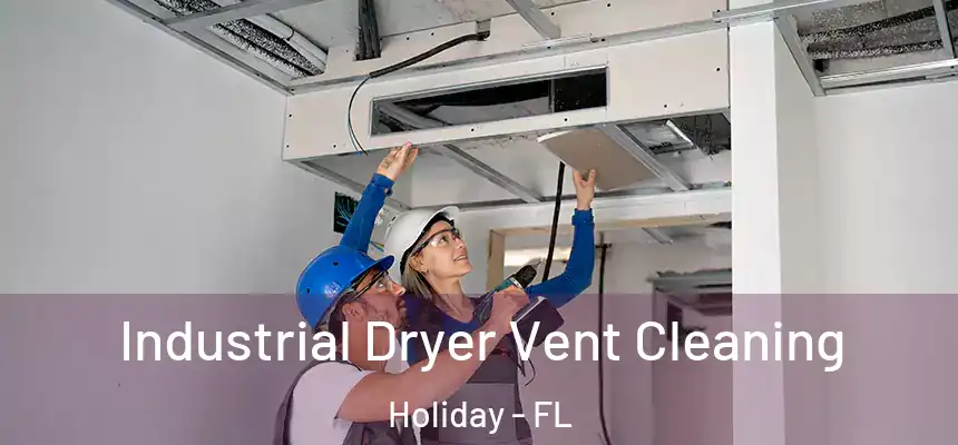 Industrial Dryer Vent Cleaning Holiday - FL