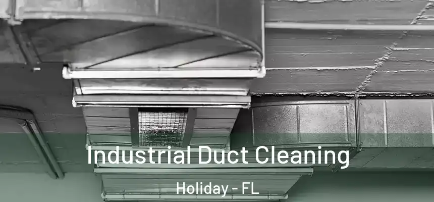 Industrial Duct Cleaning Holiday - FL