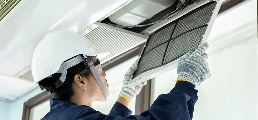 Our Lint Trap Cleaning Service Services in Holiday, FL