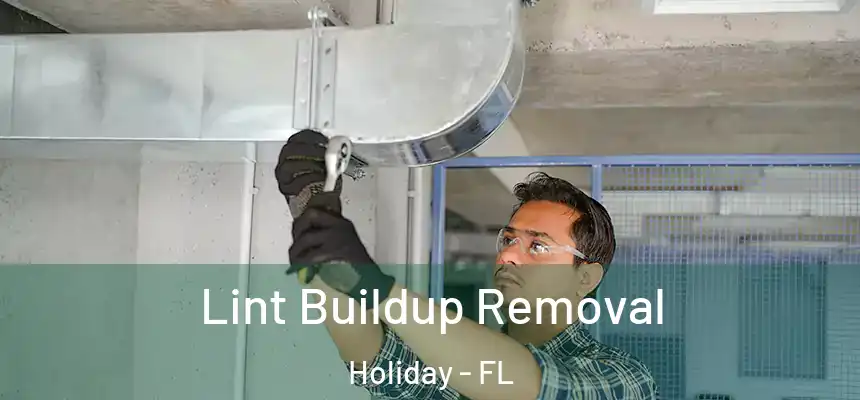 Lint Buildup Removal Holiday - FL