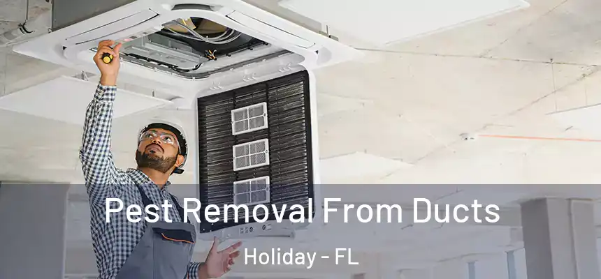 Pest Removal From Ducts Holiday - FL