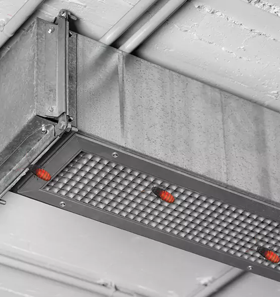 Affordable Insect Removal from Air Ducts in Holiday, FL
