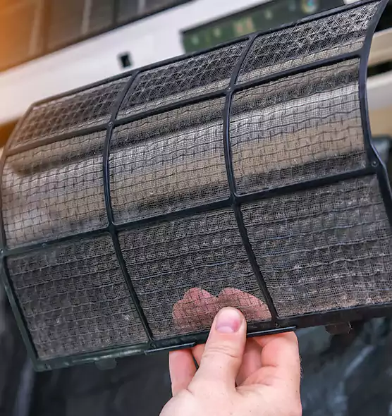 About Pet Dander Duct Cleaning in Holiday, FL