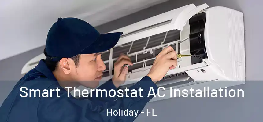 Smart Thermostat AC Installation Holiday - FL