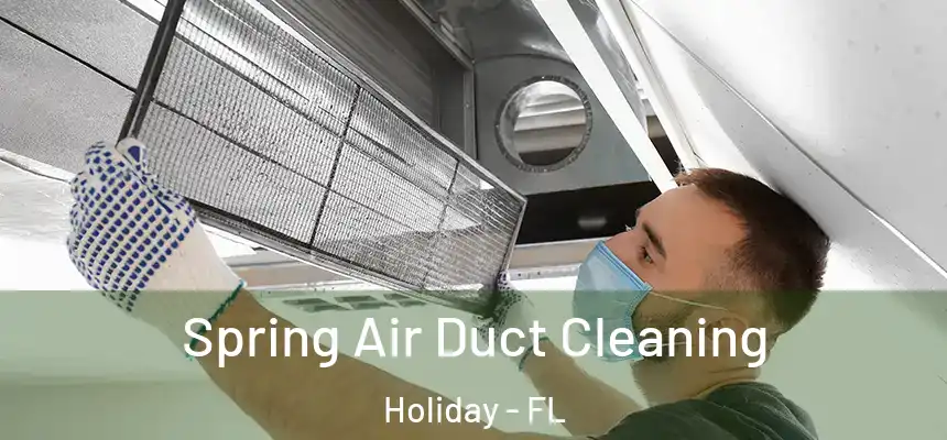 Spring Air Duct Cleaning Holiday - FL