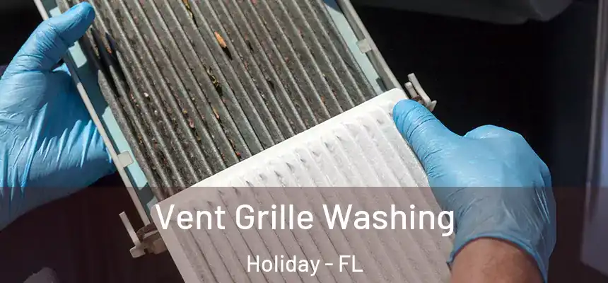  Vent Grille Washing Holiday - FL