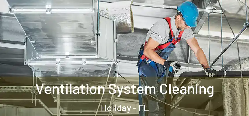 Ventilation System Cleaning Holiday - FL