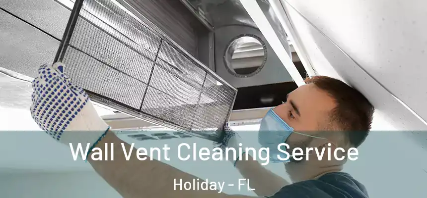 Wall Vent Cleaning Service Holiday - FL