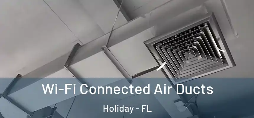 Wi-Fi Connected Air Ducts Holiday - FL